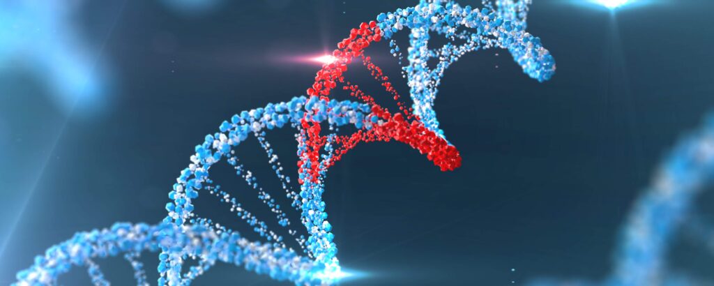 DNA Fetale a casa tua